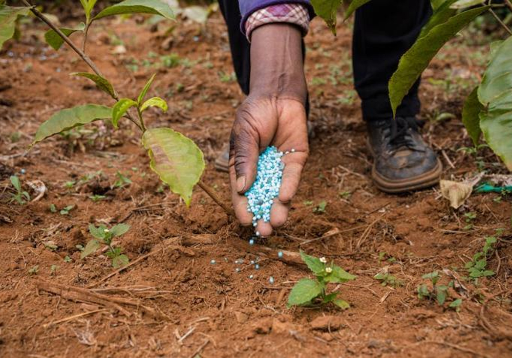 Fertilizer Industry