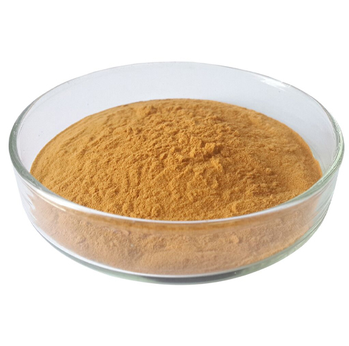 Green Tea Polyphenols