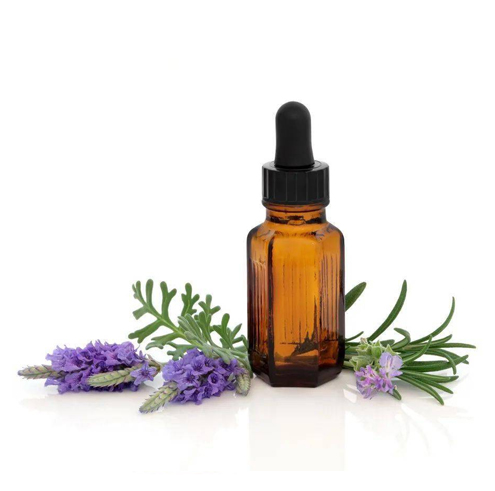Rosmarinus officinalis